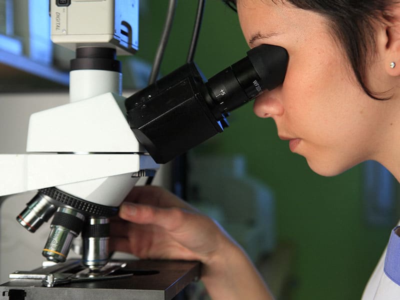 Utilisation du microscope pour des analyses vétérinaires, près de calais