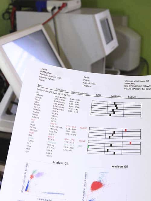 Résultats d’analyses chiens et chats à Calais Résultats instantanés d'analyse vétérinaire d'un chien, à Calais