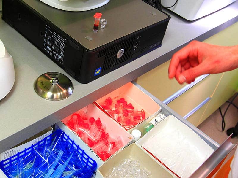 Laboratoire d’analyses sanguines, pour chiens et chats près de Calais Un laboratoire d'analyses pour chiens et chats, près de Calais