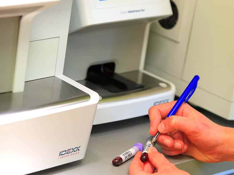 Laborartoire d’analyse Lazer pour analyse de sang Echantillons de sang prêts pour analyse